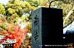 泉涌寺　紅葉の歩きかた