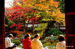 泉涌寺　紅葉の歩きかた