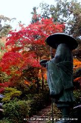 泉涌寺　紅葉の歩きかた : 弘法大師像