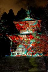 冬の蛍　嵐山花灯路 