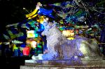冬の蛍　嵐山花灯路 