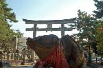和合のニッポン　年の暮れ : 御祭神菅原道真公の誕生日6月25日、薨去の2月25日に因み毎月25日は御縁日として、終日境内周辺に露店が所狭しと立ち並び、参拝者の人波が絶えない。
 特に1月25日は、初天神（12月25日は終い天神）と呼ばれ、新春一番の天神さんの日として、京阪神はもとより全国の人々に親しまれ、毎年多数の参拝者で賑わう。
 露店も例月以上に多く植木・骨董・古着・衣料品などを商う店が新春の縁日の賑わいをみせる。（例年約千軒の出店）
 一方、1月未は国公立・私立の大学・高校・中学校等の入試を直前に控え、真剣な受験生・父兄等の参拝も多く、合格祈祷を受けたり、絵馬に願い事を託す真摯な姿に、学神である当宮への篤い信仰を如実にみることができる。