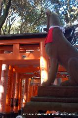 元日詣 : 立春2/4を迎えると、歳時記は初午となる。
三千院など寺院では大根焚きで初午を迎えます。
初午のビックイベントといえば、初詣に取って代わる賑わいとなるのがお稲荷さんですね。初午は稲荷大神が稲荷山に鎮座された記念日で、「初午大祭」と称されている。

この日には是非、お山めぐりをされ、験の杉を授かられると良いでしょう。
「　きさらぎや けふ初午のしるしとて 稲荷の杉は もとつ葉もなし　」
 (新撰六帖　藤原光俊朝臣)
 http://kyoto-brand.com/read_column.php?cid=5220
