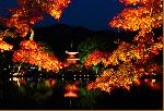 秋の物見遊山 / 紅葉見・観楓 : 日が沈むと紅葉と光の競演、いよいよ水面に映る心経宝塔を目にすることができます。

大覚寺が紡ぐ幻想的な世界
これぞ真紅の水鏡。

本堂および大沢池周辺の広大なエリアは、幻想的で柔らかな光で照らし出され、
そこでは盛りの紅葉と光の織り成す風雅を愛でることができます。

☆★☆★ 大覚寺　夜間特別拝観　「真紅の水鏡」☆★☆★
■開催期間：2014/11/14?12/7 　17:30?20:30（受付終了20:00まで）
■開催場所：旧嵯峨御所大覚寺門跡
〒616-8411  京都市右京区嵯峨大沢町4