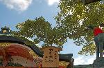 初午詣の参道