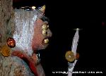 節分立春　吉田神社 : 大元宮に建つ木造方相氏像