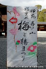 観梅　城南宮の枝垂れ梅