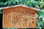 観梅　京の梅かほる : 烏の縄手
