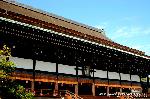 花と言えば梅