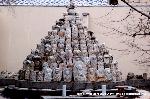 おかめ桜に千本釈迦念仏 : 三界