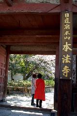西陣の日蓮宗寺院の櫻　その1 : 色褪せた朱の仁王門を潜る