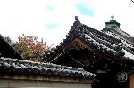 洛中洛外京桜図　一見さんの桜に通の桜　編　その三