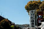 京の八重桜探訪