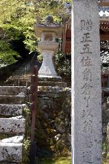桜見に曲水宴