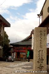 八重桜の園　千本ゑんま堂