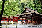 料理の神のまつり　/　吉田神社　山蔭祭