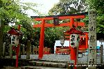 料理の神のまつり　/　吉田神社　山蔭祭