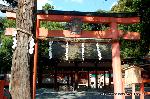 料理の神のまつり　/　吉田神社　山蔭祭 : 吉田神社本宮