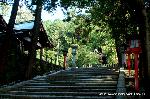 料理の神のまつり　/　吉田神社　山蔭祭