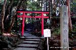 料理の神のまつり　/　吉田神社　山蔭祭 :  京都菓子業界の総意により菓祖神社創建奉賛会を結成、昭和32年11月11日兵庫県中島神社、和歌山県橘本神社、 奈良県林神社の祭神を鎮祭。