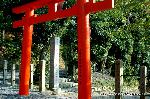 料理の神のまつり　/　吉田神社　山蔭祭