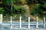 料理の神のまつり　/　吉田神社　山蔭祭 : 見慣れた屋号がございますか・・・