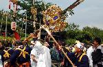剣差し　嵯峨祭 : 菊鉾