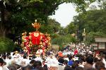 春祭最後の嵯峨祭 : 剣鉾に愛宕大神神輿