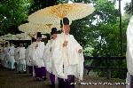 お田植祭・伏見稲荷大社 : 禰宜の列が続く