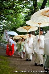 お田植祭・伏見稲荷大社 : 神官に続く神楽女