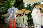 お田植祭・伏見稲荷大社 : 神楽女のあとにも神官が列を成す