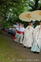 お田植祭・伏見稲荷大社 : 早乙女を先導する神官
