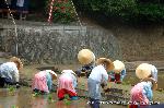 お田植祭・伏見稲荷大社