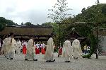 夏越祓　茅の輪くぐり : 左回りして正面から二回目をくぐる