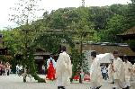 夏越祓　茅の輪くぐり : 正面に戻ると三回目のくぐり