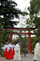 夏越祓　茅の輪くぐり : 三回くぐるともう一度左回りで正面へ
