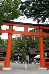 夏越祓　茅の輪くぐり