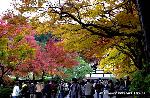 足利将軍家と京都