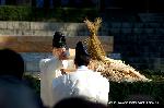 おしたけさん　伏見稲荷大社　火焚祭 : 本殿より持ち運ばれた願意の記された火焚串が更に積まれる