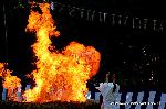 おしたけさん　伏見稲荷大社　火焚祭 : 火は生き物のように変幻する姿をみせる