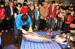 誇れる京の鍋　水炊き : まぐろの解体ショー/食彩市