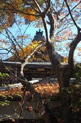 事始の風物歳時記 : 冬紅葉の散り紅葉が屋根を彩る師走