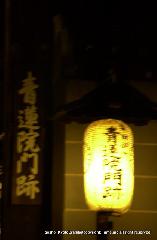 どこで撞く除夜の鐘