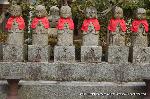 冬野菜の横綱　大根/三千院大根焚き