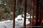 三千院初午大根焚きを歩く : 客殿より眺む