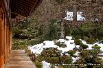 三千院初午大根焚きを歩く : 左手前が客殿　前方に往生極楽院