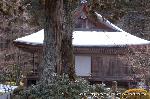 三千院初午大根焚きを歩く : 「有清園」に建つ「往生極楽院」