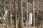 三千院初午大根焚きを歩く : 杉木立を歩いた先に・・・