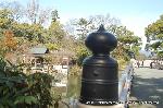 京都御苑　春一番を歩く