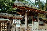 京都御苑　春一番を歩く